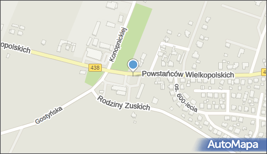 Parking, Powstańców Wielkopolskich438, Borek Wielkopolski 63-810 - Parking