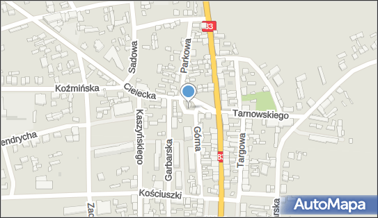 Pekao SA - Bankomat, Plac bł. Ojca Rafała 3, Warta 98-290, godziny otwarcia