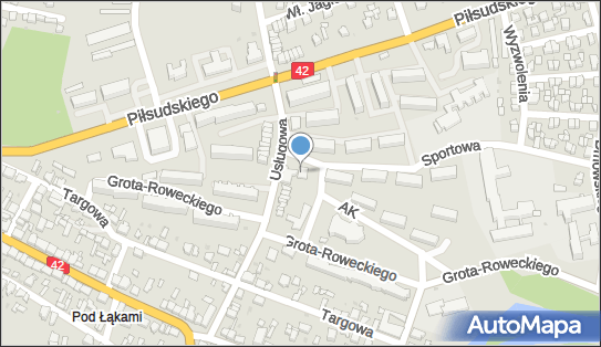 Bank Pekao S.A., Ul. Usługowa 5, Działoszyn 98-355, godziny otwarcia, numer telefonu