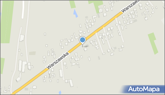 Pizzeria Bysynger Katarzyna Piotrowska Janina, ul. Warszawska 62 99-400 - Pizzeria, numer telefonu, NIP: 6662098449