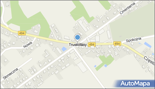 Pizzeria Kmicic, Truskolasy 1, Truskolasy 42-134 - Pizzeria, NIP: 5732711453