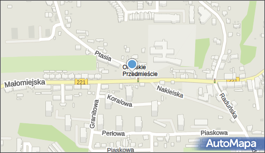 Pizzeria Leone, ul. Ptasia 2A, Gdańsk 80-037 - Pizzeria, numer telefonu, NIP: 5832506362