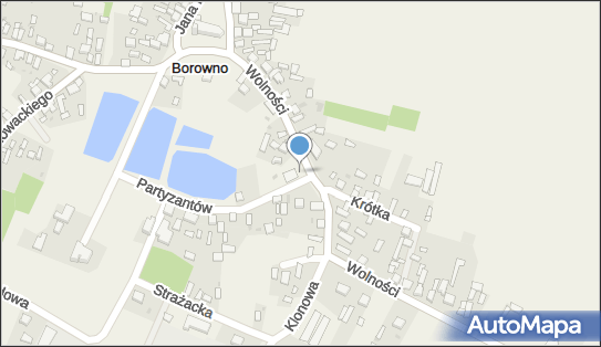 Plac zabaw, Ogródek, Partyzantów 11A, Borowno 42-233 - Plac zabaw, Ogródek