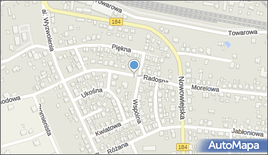 Plac zabaw, Ogródek, Radosna 14, Wronki 64-510 - Plac zabaw, Ogródek