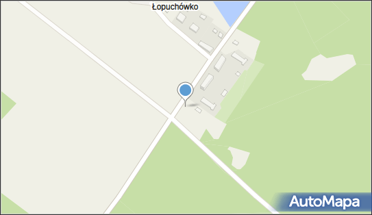 Plac zabaw, Ogródek, Łopuchówko, Łopuchówko 62-095 - Plac zabaw, Ogródek