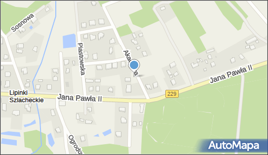 Plac zabaw, Ogródek, Jana Pawła II229 40, Lipinki Szlacheckie 83-211 - Plac zabaw, Ogródek