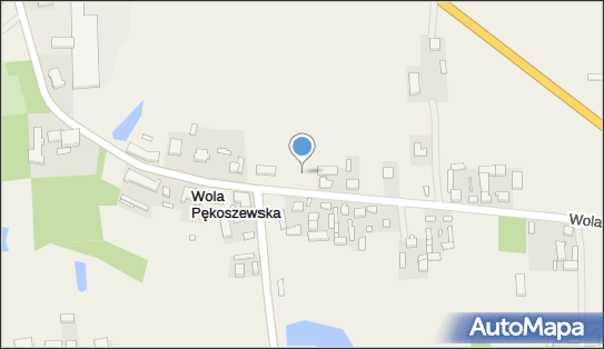 Plac zabaw, Ogródek, Wola Pękoszewska 72A, Wola Pękoszewska 96-102, 96-111 - Plac zabaw, Ogródek