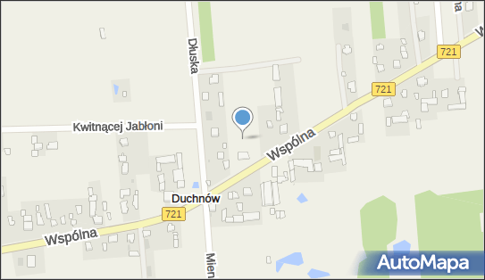 Plac zabaw, Ogródek, Wspólna721 157, Duchnów 05-462 - Plac zabaw, Ogródek