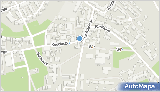 Planet Cash - Bankomat, Mickiewicza 16, Kamień Pomorski 72-400, godziny otwarcia