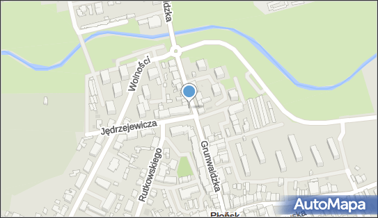 Planet Cash - Bankomat, Grunwaldzka 31, Płońsk 09-100, godziny otwarcia