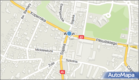 Planet Cash - Bankomat, Śląska 17/7, Wieluń 98-300, godziny otwarcia