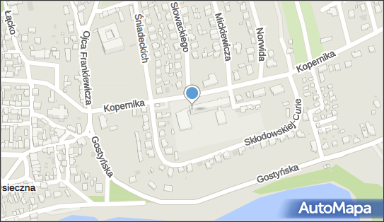 Plus BTS 33764, Mikołaja Kopernika 1, Osieczna 64-113 - Plus - BTS