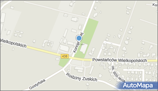 Smartbox - Poczta Polska, pon-ndz 00:00-24:00, Borek Wielkopolski, godziny otwarcia