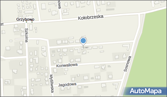 Wynajem Pokoi Gościnnych Damian, Myśliwska 20, Grzybowo 78-132 - Pokój gościnny