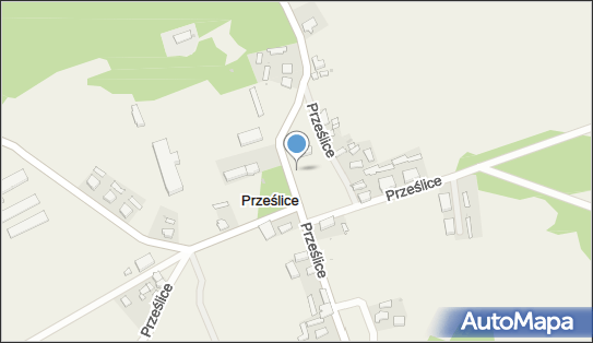 Figura św Antoniego, Prześlice 38, Prześlice 66-235 - Pomnik, Obelisk, Tablica pamiątkowa