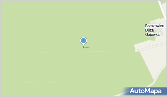 Pomnik Józefa Piłsudskiego, Brzozowica Duża - Pomnik, Obelisk, Tablica pamiątkowa