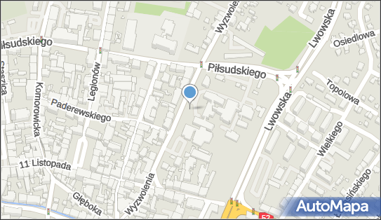 Pomnik lekarza Maksymiliana Rutkowskiego, Wyzwolenia 27 43-300 - Pomnik, Obelisk, Tablica pamiątkowa