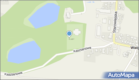 Buk pospolity czerwonolistny, Kasztanowa, Wielgie 87-603 - Pomnik przyrody