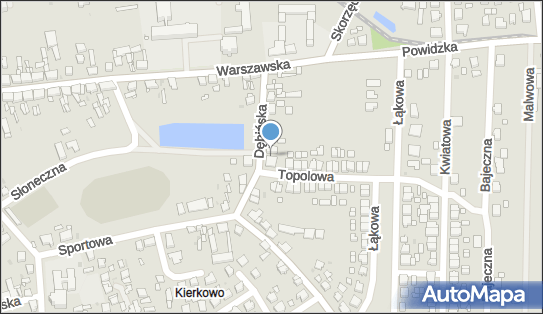 Pralnia chemiczna, wodna, Dębińska 13, Witkowo - Pralnia chemiczna, wodna, numer telefonu