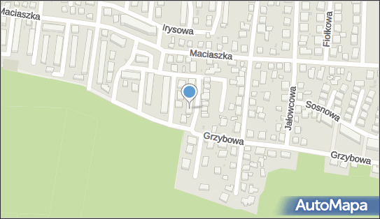 1.Laboratorium Dentystyczne Esmail Zidan 2.Zidanpol Esmail Zidan 3.Orientalne Dekoracje Esmail Zidan 85-367 - Przedsiębiorstwo, Firma, NIP: 9670626717