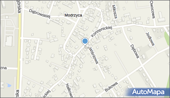 1.Transport Osobowy Zenon Napieralski2.Biuro Usług Turystycznych Lubusz-Tourist Zenon Napieralski 67-106 - Przedsiębiorstwo, Firma, NIP: 9291426055