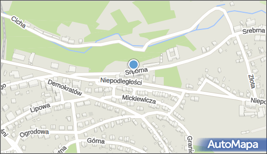 1984 DM Beniamin Bierc, Niepodległości 14, Nowa Ruda 57-400 - Przedsiębiorstwo, Firma, NIP: 8851571439