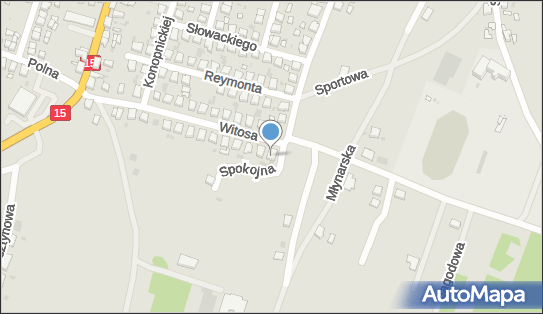 43 Academy Anna Drejkarz-Woodcraft, ul. Witosa 30, Zduny 63-760 - Przedsiębiorstwo, Firma, NIP: 6211701820