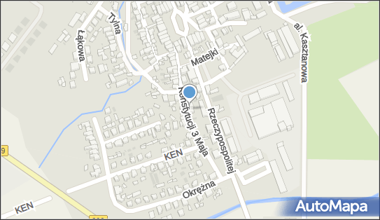 4Lan, Konstytucji 3 Maja 24, Rydzyna 64-130 - Przedsiębiorstwo, Firma, numer telefonu, NIP: 6972293429