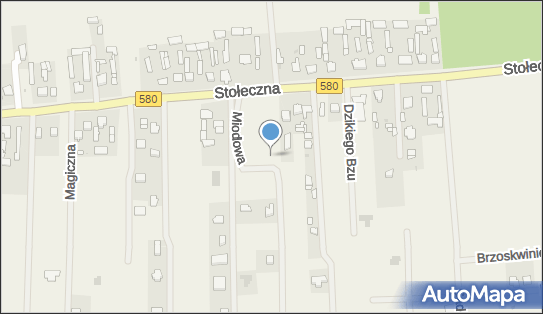 Ab Advisors, ul. Miodowa 8, Zaborówek 05-083 - Przedsiębiorstwo, Firma, NIP: 5761485657