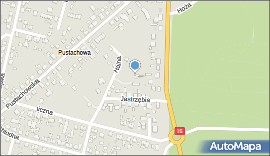 Abees Przedsiębiorstwo Wielobranżowe, Halna 10, Gniezno 62-200 - Przedsiębiorstwo, Firma, NIP: 7840008266