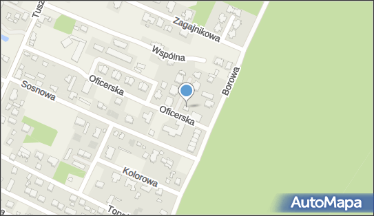 Acm Aleksandra Krasińska, ul. Oficerska 22, Wiśniowa Góra 95-020 - Przedsiębiorstwo, Firma, NIP: 7282709893