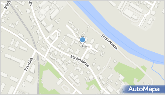 Acrylmed, ul. Adama Mickiewicza 33, Śrem 63-100 - Przedsiębiorstwo, Firma, numer telefonu, NIP: 7851797321