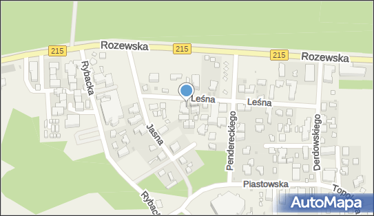 Activision Centrum Wczasów Rodzinnych, ul. Leśna 21 84-104 - Przedsiębiorstwo, Firma, NIP: 5871420794