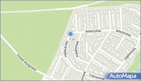 Activpro Damian Wojciechowski, Halibutowa 30, Bydgoszcz 85-435 - Przedsiębiorstwo, Firma, NIP: 9670689215