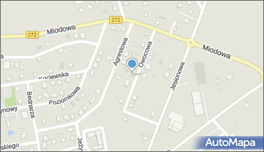 Adam Bala - Działalność Gospodarcza, Owocowa 7, Świecie 86-100 - Przedsiębiorstwo, Firma, NIP: 5591061213