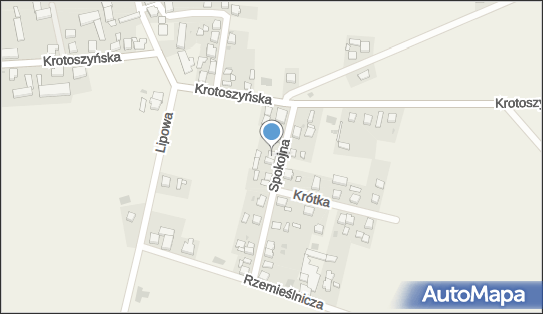 Adam Bartkowiak Auto Naprawa, Spokojna 8, Gorzupia 63-714 - Przedsiębiorstwo, Firma, NIP: 6211009277