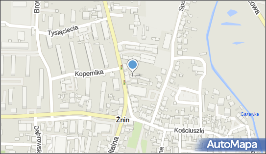 Adam Fojutowski, ul. Mickiewicza 6, Żnin 88-400 - Przedsiębiorstwo, Firma, NIP: 5621269238