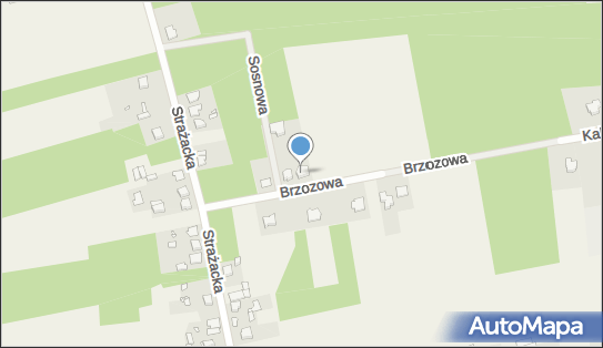 Adam Ludwin Przedsiębiorstwo Handlowo-Usługowe , Adam, Kalej 42-130 - Przedsiębiorstwo, Firma, NIP: 5732264250