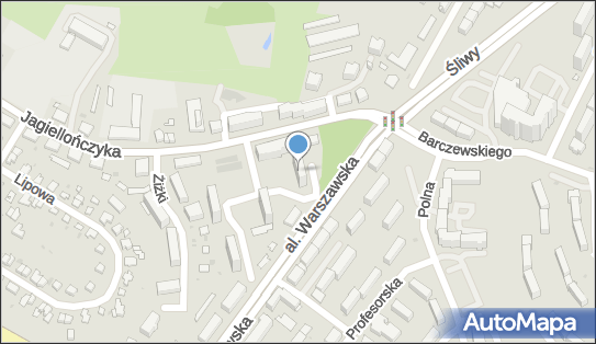 Adam Żuk, Aleja Warszawska 62, Olsztyn 10-084 - Przedsiębiorstwo, Firma, NIP: 7393545704