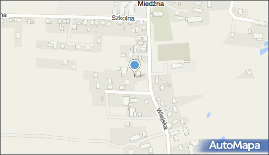 Adamczyk Szymon A.S.Transport Szymon Adamczyk, Wiejska 39, Miedźna 43-227 - Przedsiębiorstwo, Firma, NIP: 6381475305