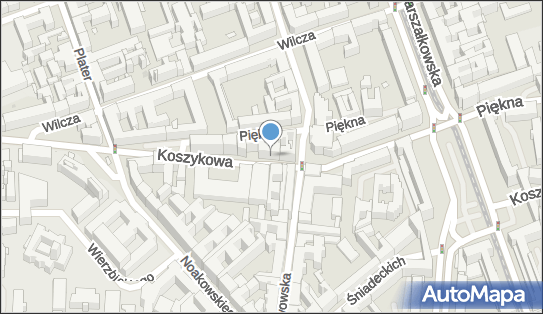 Adminex Polska, Koszykowa 60/62, Warszawa 00-673 - Przedsiębiorstwo, Firma, numer telefonu, NIP: 9512129813