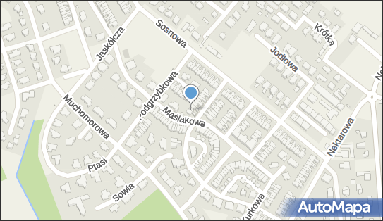 7431908601, Adrian Rycicki 