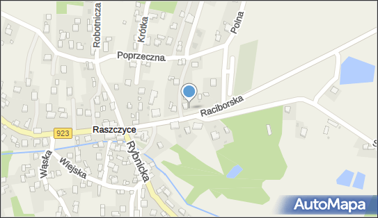 Adrian Swaczyna - Działalność Gospodarcza, ul. Raciborska 4 47-435 - Przedsiębiorstwo, Firma, NIP: 6422076112