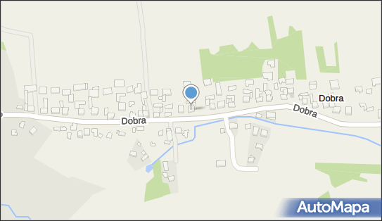 Adrian Świderski Gwardian Firma Transportowo-Handlowo-Usługowa 42-436 - Przedsiębiorstwo, Firma, NIP: 6492094782