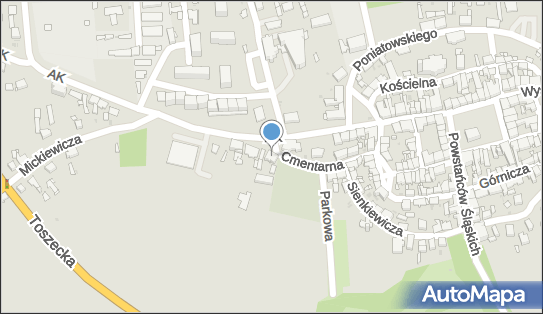 Adrianna Kulawicz Top Beauty, Armii Krajowej 19, Pyskowice 44-120 - Przedsiębiorstwo, Firma, NIP: 9691195205