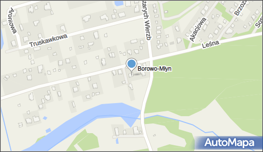 Aero Filip Dudziński, Jerzykowska 5, Borowo-Młyn 62-007 - Przedsiębiorstwo, Firma, NIP: 9721005311