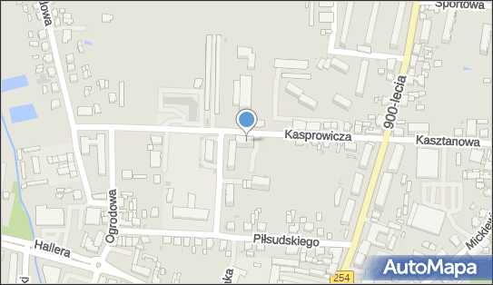 Agata Bleja, ul. Jana Kasprowicza 11, Mogilno 88-300 - Przedsiębiorstwo, Firma, NIP: 5571697942