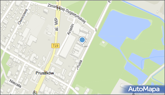Agencja Artystyczna, ul. Bolesława Prusa 12, Pruszków 05-800 - Przedsiębiorstwo, Firma, NIP: 7291356419