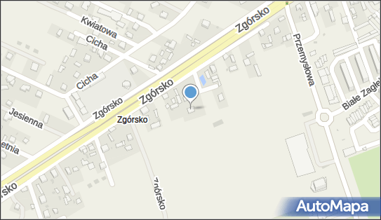 Agencja Handlowa Manex Urszula i Janusz Fijałkowscy, Zgórsko 42 A 26-052 - Przedsiębiorstwo, Firma, NIP: 6570242720