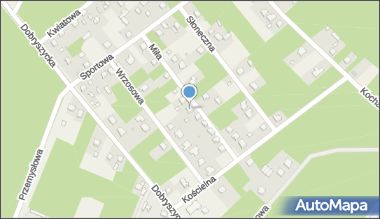 Agencja Reklamowa Apis Projekt, Miła 13, Blok Dobryszyce 97-505 - Przedsiębiorstwo, Firma, NIP: 7722094853